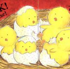 Chicks Hatching